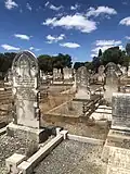 Jewish section of West Terrace Cemetery, Adelaide, 2024