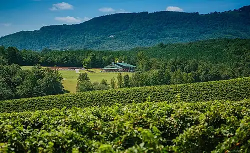 Jones Von Drehle Vineyards