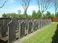 Rows of headstones