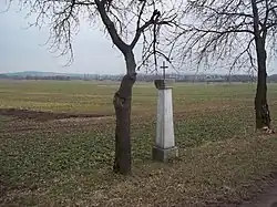 A cross and fields in Vstiš