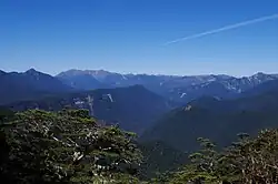 Picture of Kahurangi National Park in New Zealand