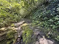 Kewaizaka Pass Entrance into Kamakura. Major northwestern route from Musashi Province (modern Tokyo/Saitama). It was used by Nitta Yoshisada to attempt to breach the Kamakura defenses during his army's 1333 attack but repelled by Hōjō forces. Today, it is preserved as a hiking path through forested hills.