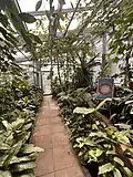 Inside the greenhouse