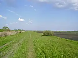 Landscape near Sarkad