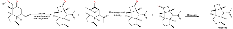 Kelsoene synthesis with homo-Favorskii key step