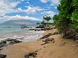 Kīhei beach with the West Maui Mountains in the distance