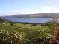 Kilmichael near Minard, Argyll. View of Kilmichael and Loch Fyne, Argyllshire.