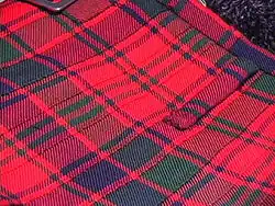 Detail of a Robertson red kilt[28]