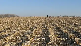 Kimball Village Site