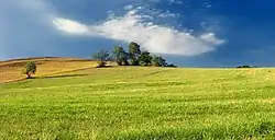A farm in Union Township