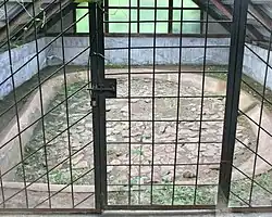 Kōgasaka Stone Age Site