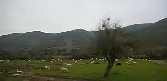 İvrindi countryside
