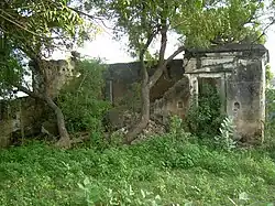 A room within the Temple premises destroyed by trees and plants