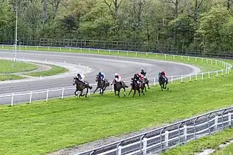 Jutland Racecourse