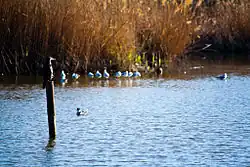 Looks like this Site of Community Interest has an image. Don't worry, you can take one of your own, and upload it too!