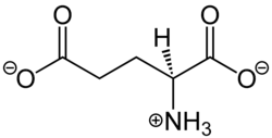 L-Glutamate Structural Formula