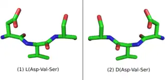 L-Peptide Asp-Val-Ser and its mirror image.