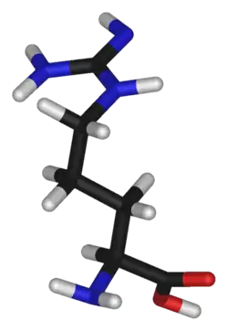 3D structure of L-arginine