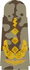 Generalober­stabsarzt (field uniform)