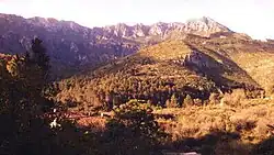 Looks like this Site of Community Interest has an image. Don't worry, you can take one of your own, and upload it too!