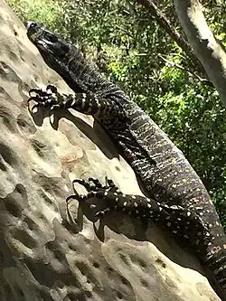Glenrock State Conservation Area, Newcastle, New South Wales