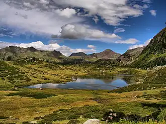 A body of water surrounded by green land.