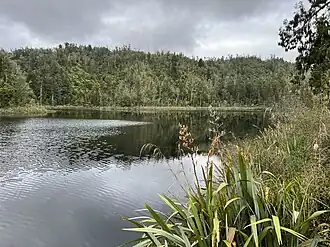 A still lake ringed by forest