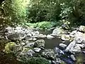 Creek in Lamington National Park