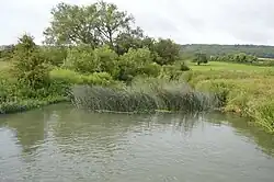 Wytham Ditches and Flushes