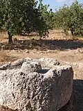 Olive press at Khirbet Malkat-ha