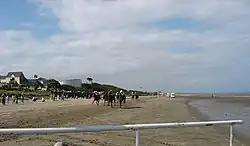 Laytown Races