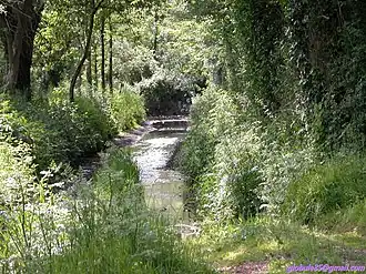 The La Givre countryside, crossed by a tributary of the Troussepoil river