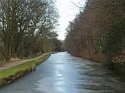 Leeds and Liverpool Canal and Buck Wood