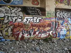Graffiti on a wall that says "Free Leonard Peltier".