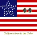 Digital reconstruction of the flag carried by California delegates to Washington D.C., 1861 (based on description)[70]