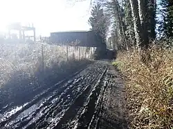 Liss Riverside Railway Walk South