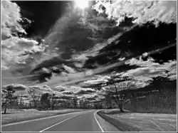 "Black and white photo of a road curving under an open sunny sky"