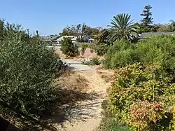 Babb Creek confluence at Silver Ave.