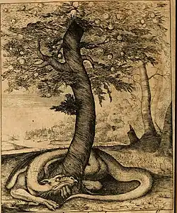 Wyvern as a personification of Portugal