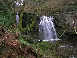 Lynn Spout on the Caaf Water; illustrating the thick limestone deposits in this area