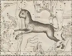An old drawing depicting a lynx overlaying a chart of stars