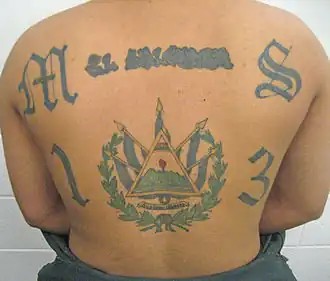 A member of MS-13 with a tattoo displaying the gang's name and the country's coat of arms