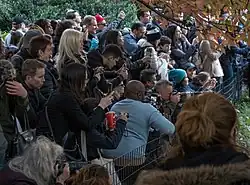 A crowd of people gathered to see the Central Park mandarin duck in November 2018.