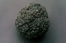 Image 13Manganese nodule (from Southern Ocean)