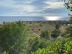 Uplifted marine terrace (post-2013 Bohol Earthquake) beside Punta Cruz