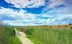 Looks like this Site of Community Interest has an image. Don't worry, you can take one of your own, and upload it too!