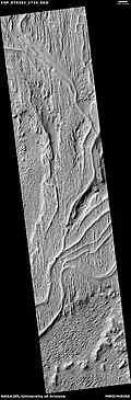 Inverted channels in Aleolis Planum Inverted channels may have formed when the area was buried and then later eroded. The former channels then appear above the surface because they are more resistant to erosion. Perhaps they accumulated larger rocks then the surroundings.