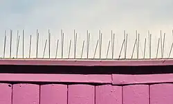 A market stall is covered with many thin bird spikes.