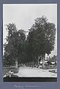 The Main Street in Padangsidimpuan City around 1900-1920s (now Jalan Merdeka)