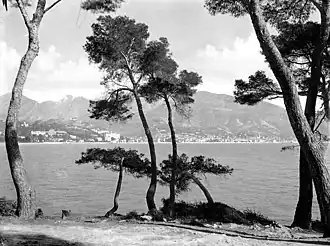 Menton vu du Cap-Martin